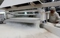 Sugar Shipments Jump over Three-Fold to 31.5 Lakh Tonnes in Oct-Jan