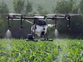 PM Modi Launches 100 Kisan Drones Across The Country To Spray Pesticides