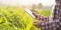 IIT Roorkee Launches ‘KISAN’ App to Meet Farmer’s Meteorological Needs