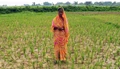PMFBY: Centre To Launch ‘Meri Policy Mere Hath’ Campaign To Provide Crop Insurance Policies To Farmers