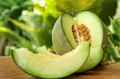 Krishi Vigyan Kendra Plans to Popularize Snap Melon/ Pottu Vellari