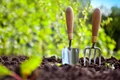 Monthly Gardening To-Do Checklist