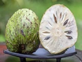 Soursop: A Miraculous Fruit That is a Natural Cancer Cell Killer!