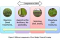 A Way Toward: Zero Budget Natural Farming