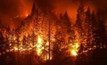 Wildfires May Increase by 50% this Century; Here's What You Should Do
