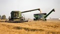 US Agriculture Sector Braces for Fallout Due to Ukraine- Russia Conflict