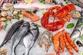 Why is Seafood So Popular, How Healthy It Is?
