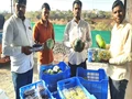 KisanKonnect: An Inspiring Story of 11 Farmers From Maharashtra Who Built Rs 8 Crore Empire
