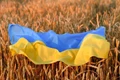 Ukraine Crisis: Global Agri Commodity Prices are falling as Supply Concerns Subside
