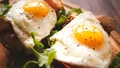 Quick & Delicious Egg Breakfast Recipes