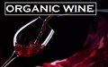Ever Tried Organic Wine? Check Out 4 Best Organic Wines in the World