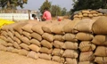 Paddy Procurement would Reach 707.24 lakh tonne in the 2021-22, as per Food Ministry