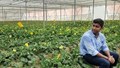 Engineer Quits His Job To Grow Gerbera; Earns Rs 1.5 Lakh per Month