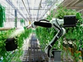 Digital Agriculture: Top 10 Robotic Applications In Modern Farming