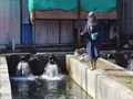 PMMSY Scheme: Govt. Provides 100% Support to Unemployed Girls For Setting up Fish Farms