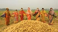 PepsiCo India Making Efforts to Help Women Farmers ‘Break the Glass Ceiling’
