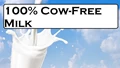 The ''Cow-Free" Milk for the Lactose Intolerant People has Real Dairy Protein!