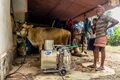 Solar-Powered Milking Machine: A New Cost-Effective and Energy Efficient Dairy Farming Technology