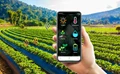 Ninjacart Launches $25M Seed Fund in Agritech Ecosystem to Promote Innovation