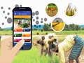 Krishi Network; 30 Lakh Farmers Benefit from IIT Duo's Timely Expert Crop Advice App