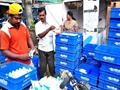 Dairy Farmers Urge Tamil Nadu Govt. to Hike Procurement Prices