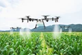 Drones 101: Their Use in Agriculture, Price, Government’s Schemes & Laws