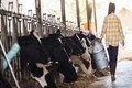 Dairy Farming: The Easiest way to Avail Govt Loans up to Rs 20 Lakh & NABARD Subsidy to Start your own Dairy Farm