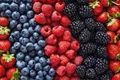 How to Grow Berries at Home? Tips & Tricks Inside