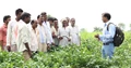 ICAR Conducts Training Program on ‘Bio-Intensive Plant Health Management For Important Vegetable Crop