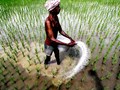 Russia- Ukraine Effect: India to Boost Fertilizer Imports from Canada & Israel Now!