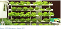 Ultra-Modern Farming System “HYDROPONICS”