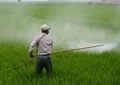 4 Ways in which Agrochemicals Help in Crop Protection