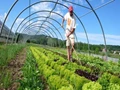 Top 7 Organic Farming Myths Debunked