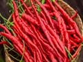 5 Indian Chilies With GI Tags Well-known For Their Flavour