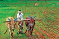Farmer’s Union say Tamil Nadu Agri Budget is a Mix of Welcome Initiatives & Disappointments