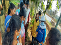 ICAR-KVK Hosts Skill Training To Promote Stingless Beekeeping