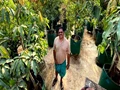 This Gardener Used Plastic Drums to Grow More Than 100 Fruit Trees; Read His Story