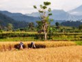 Nagaland Introduces New Schemes To Facilitate Credit Flow To Hard-Working Farmers & Young Entrepreneurs