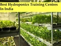Best Hydroponics Training Centres in India