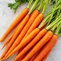 Amazing Health Benefits of Carrot