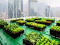 Govt Plans Big For “Smart Urban Farming” & Animal Care