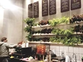 Restaurants In Kerala Now Harvesting Benefits of In-House Hydroponic Farms