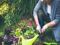 Top 10 Gardening Myths Busted