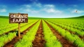 Organic Farming: Government Runs Two Schemes To Encourage Organic Agriculture