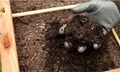 How to Compost & Why It's Beneficial to Environment