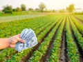 Agrizy Raises $4M Seed Funding Led by Ankur Capital To Transform Supply Chain For Agri Processors