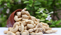 India is World's 2nd Largest Producer of Raw Cashew Nuts- Narendra Singh Tomar