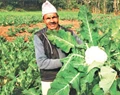 India launching pilot project on Organic Farming in Nepal