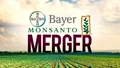 Bayer Monsanto merger sealed, following anti-competitive measures