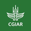 Agri Job Opportunity in Mexico